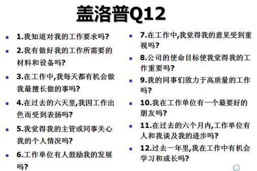 盖洛普Q12(图1) (图1)