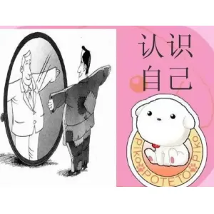 认识自己：八大模型助力成长